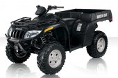 2010 Arctic Cat TBX 700 H1 EFI photo